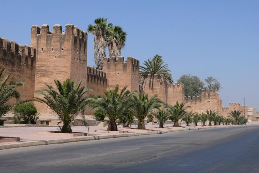 Taroudant & Tiout Excursion