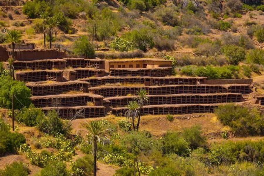 Inzerki Traditional Apiary & High Atlas Mountains Day Trip from Agadir