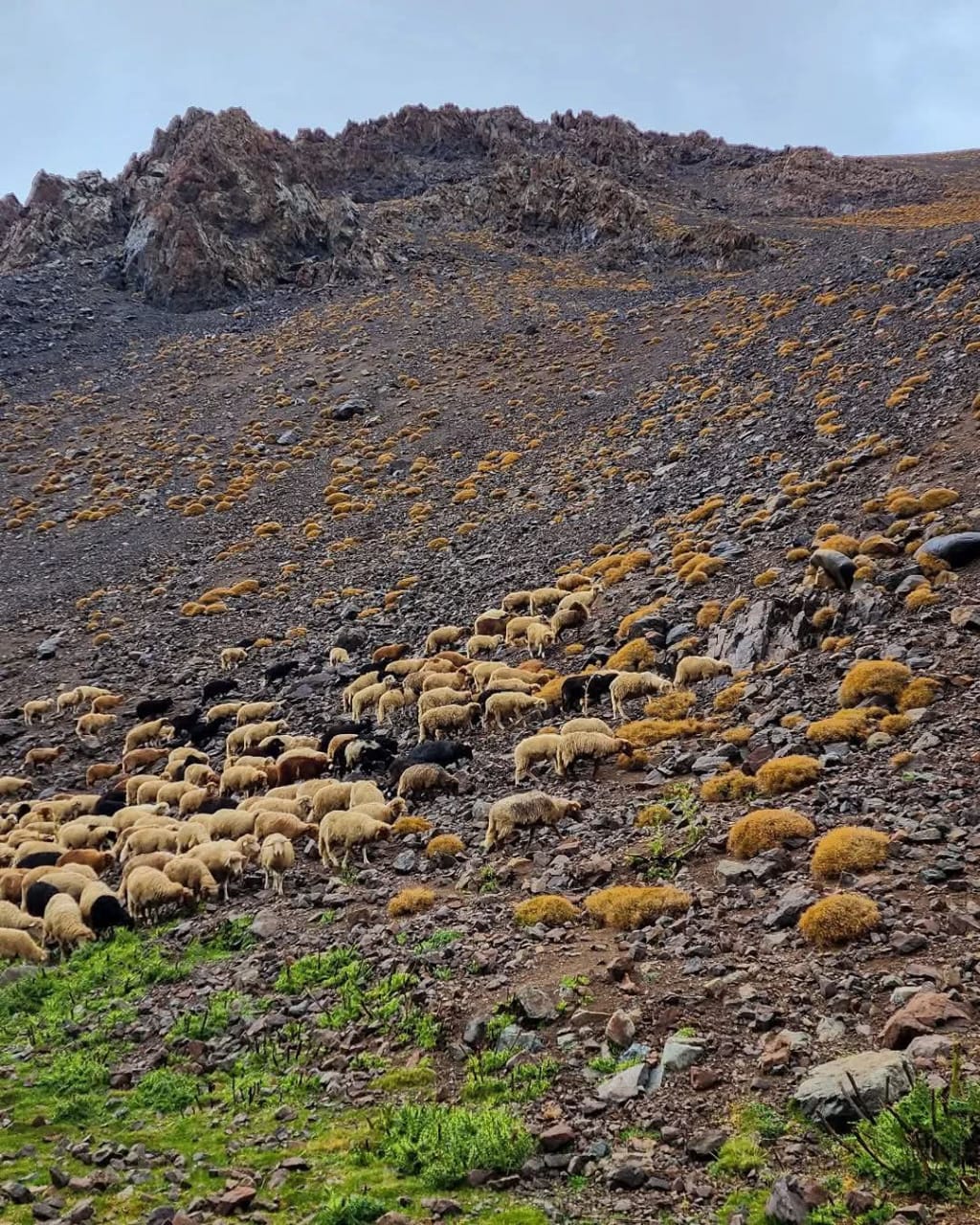 Ouarzane ➜ Likamt Hamlet ➜ Tifni (3,050 m)