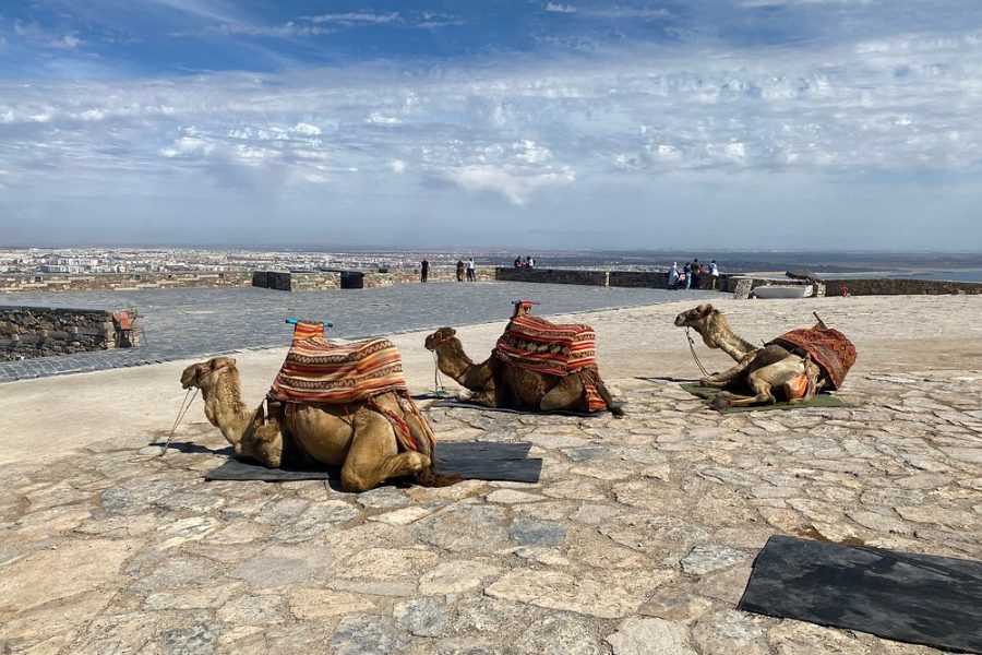 Agadir City Tour – Kasbah, Souk El Had & Cultural Highlights