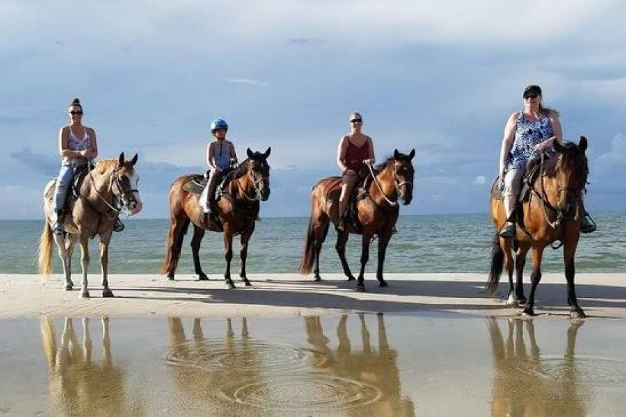 Horseback Riding in Souss Massa – Agadir Experience