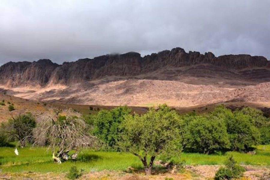 The Almohad Heritage Trail: Taroudant & Arghen Valley