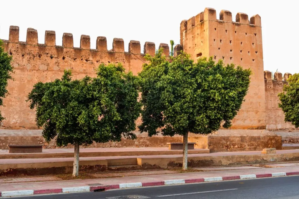Day 1: Transfer from Agadir to Taroudant & Medina Discovery